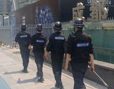 公共场所安保服务